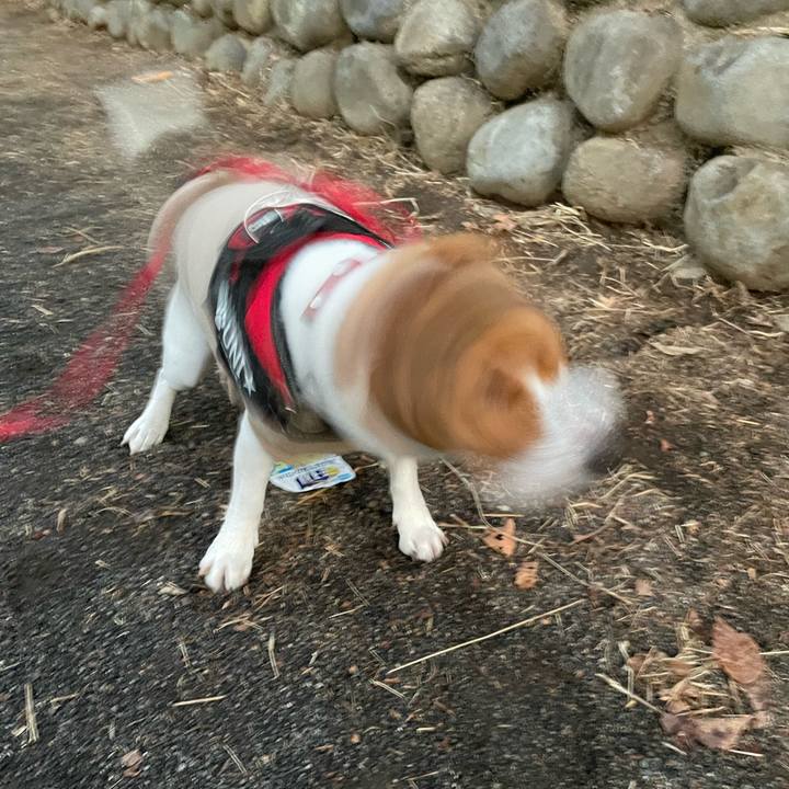 Be3fbe5e 1fe1 4f65 9077 6e502f7e15b6 1702551916779