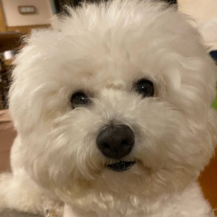 Be3fcdb3 7392 4fe8 88a7 0b0b3f68e720 1632214003191