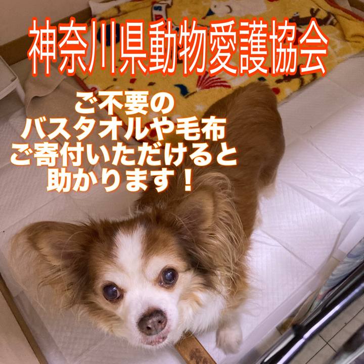 Be3ffeac f826 4951 bbfd 049c80e69aa2 1715664069882