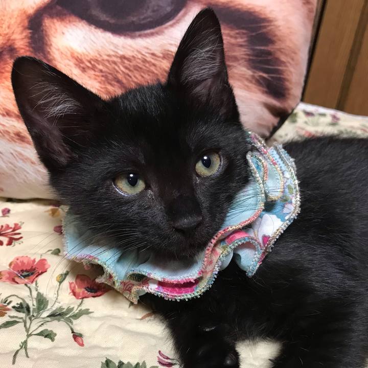 Be40314c 770a 4124 95b7 091087f98b01 1563135135385