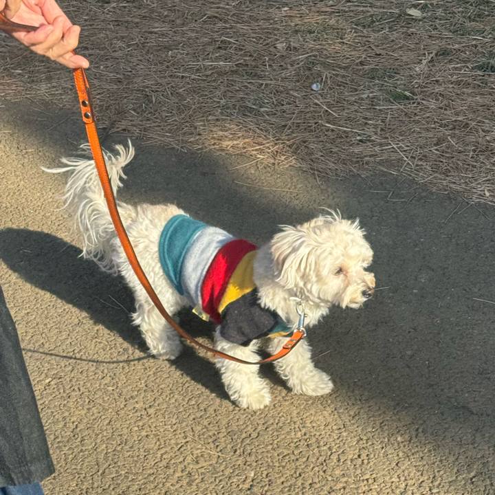 Be40355d 0526 47a1 8e3d 1e9d1a3fa801 1769836901363