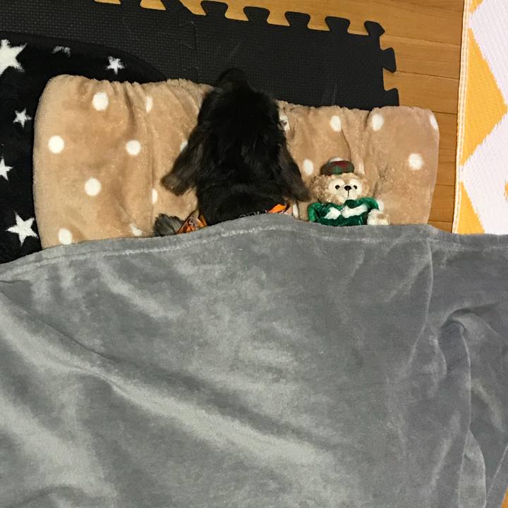 Be404f6d 17bb 4898 92dc bb9d4e82ba4b 1511015118709