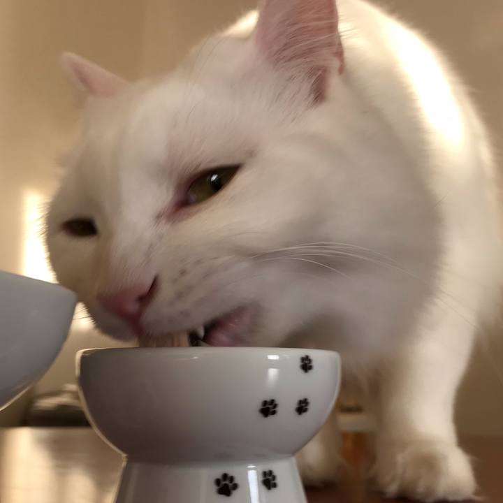 Be40575d 9362 43d9 9770 d3f975462c35 1541844552050