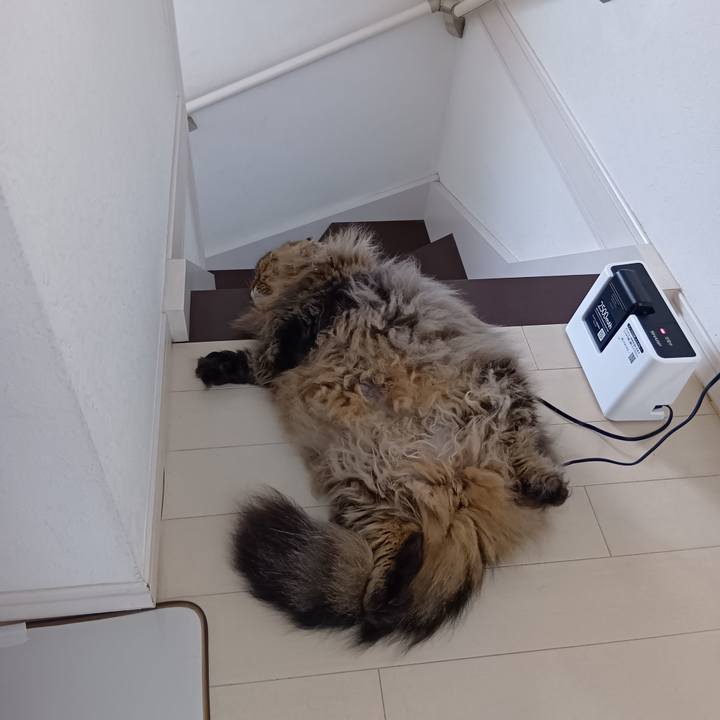 Be408d3d a25d 4765 a44c d4c0f969a7e6 1757026615054