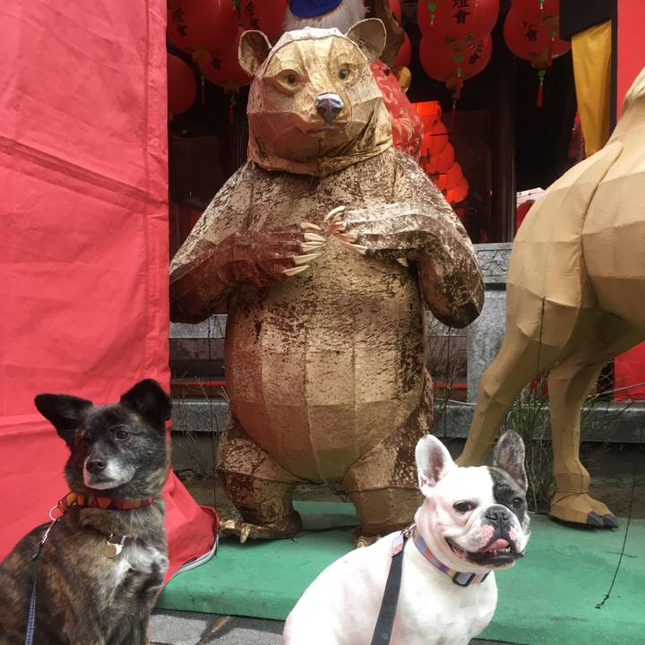 Be40c873 26d1 411c b1bd 31497f20584c 1549982520633