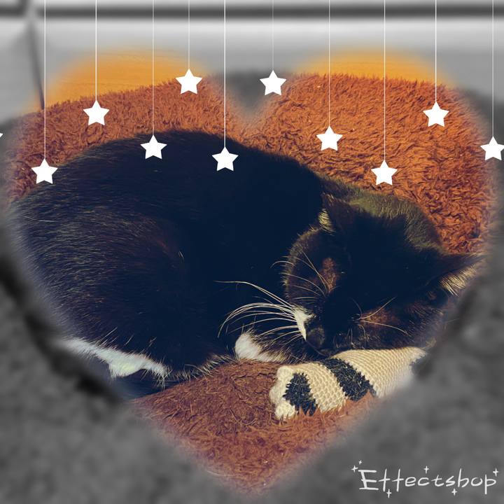 Be40cfd8 853b 473f 8a80 2fa58bf722da 1671971887942