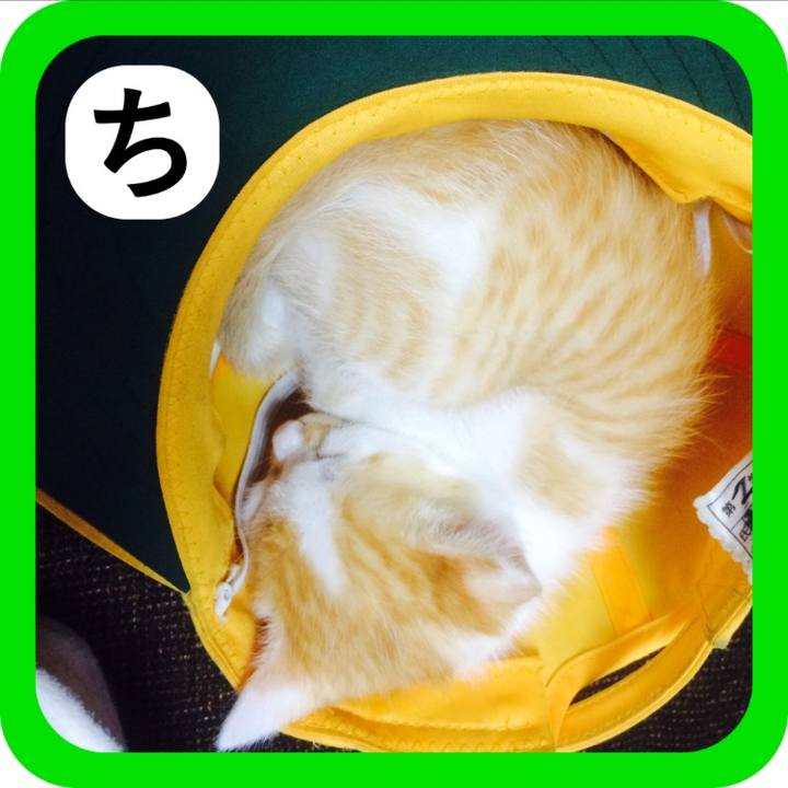 Be40e2f6 ae68 4cd0 baf6 14a793bd5d9f 1515330078253