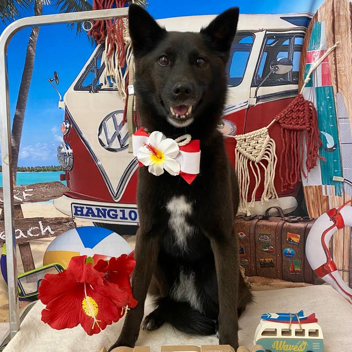 Be40f2e2 745c 4cc8 b3ad 3656db39be6e 1658551203995