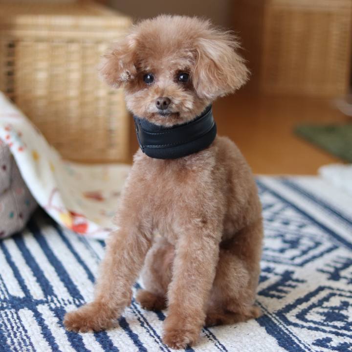 Be40fee2 8577 4afa 9300 00cc15a7e4a2 1552486742122