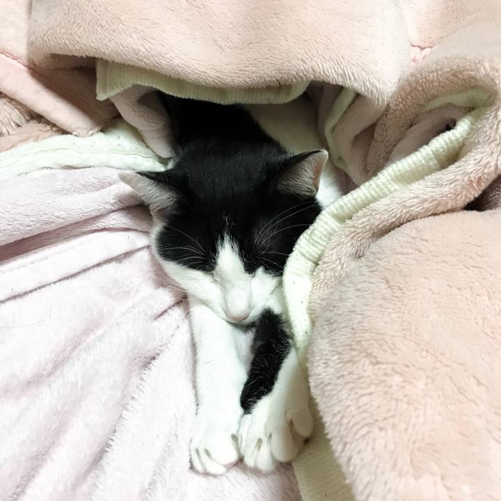 Be410663 99d9 485d 912b 5b53de56b902 1510795609944