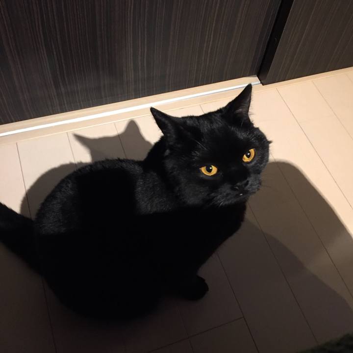 Be4116f6 2197 4586 a063 2b08d32c7e32 1589374515260