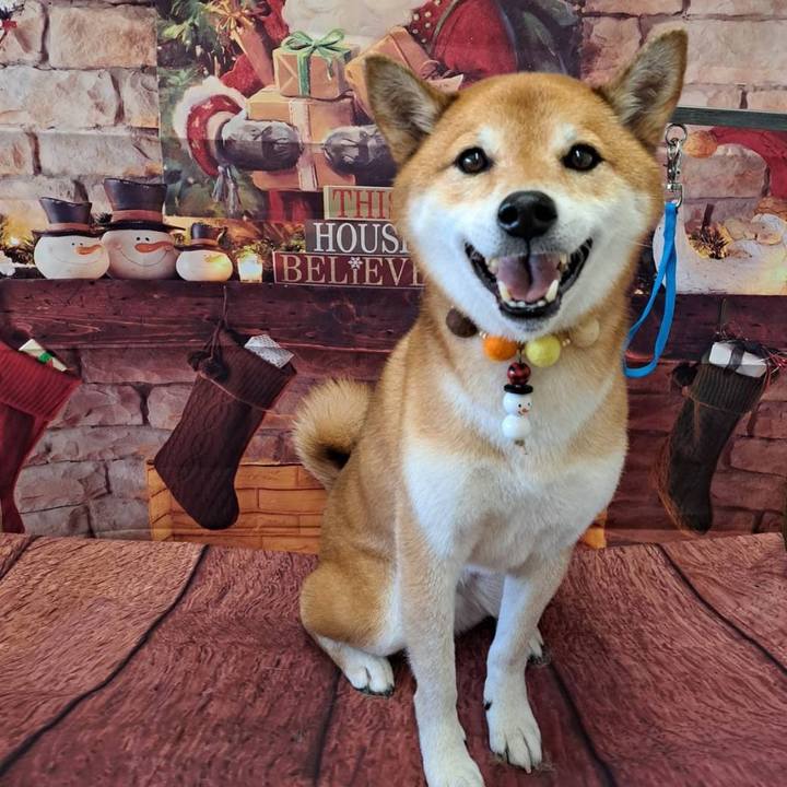 Be4118fd 6d44 4532 b908 42329d4a961d 1669975167609