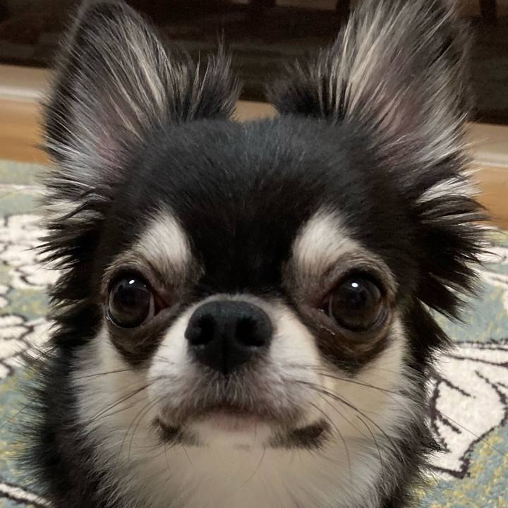 Be4139cd 70a1 48dd adef 375782dd8197 1627817595479