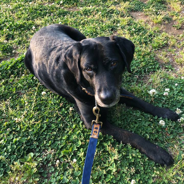 Be414324 da2a 4de9 8e66 23f0942bb29a 1555919586498