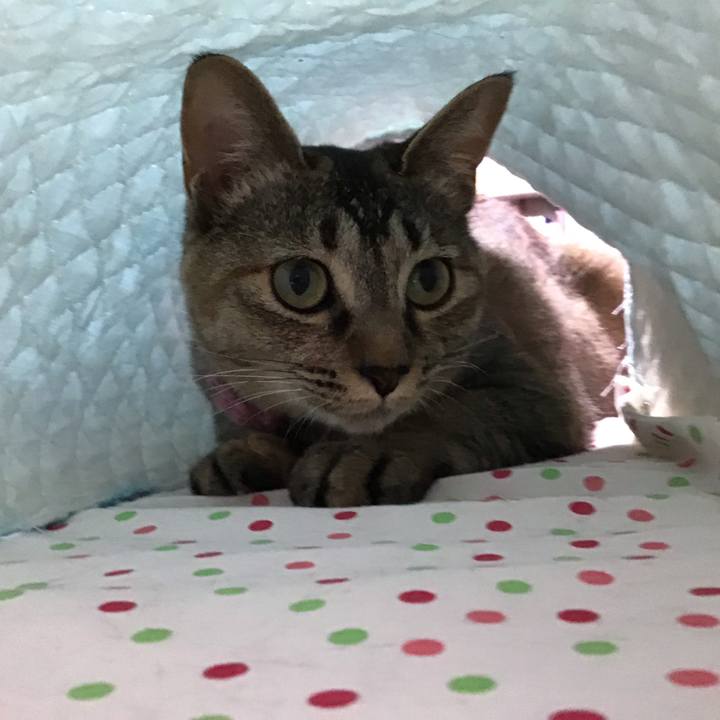 Be415cfb f280 40c9 ba96 03301fc0cb03 1593328066091