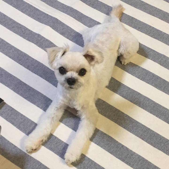 Be419c60 e8cd 4df4 bfea f02e13470ea0 1513425102802