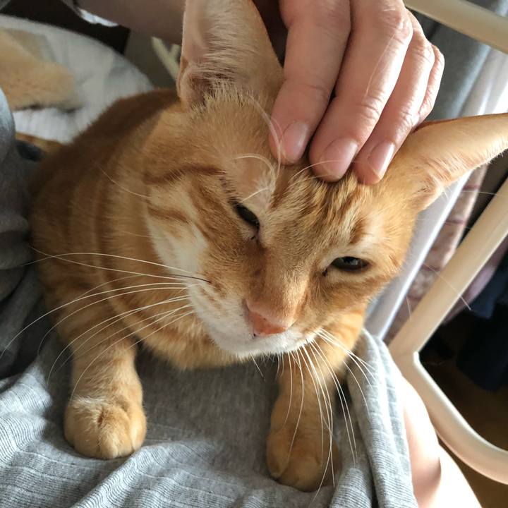 Be41b55c 914c 41ba abf9 9566332f6d06 1574460108964