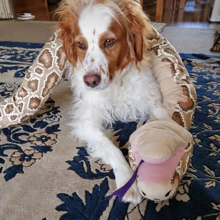 Be41b742 d261 46a4 b5dd 2eef8c6a21f8 1586495110116