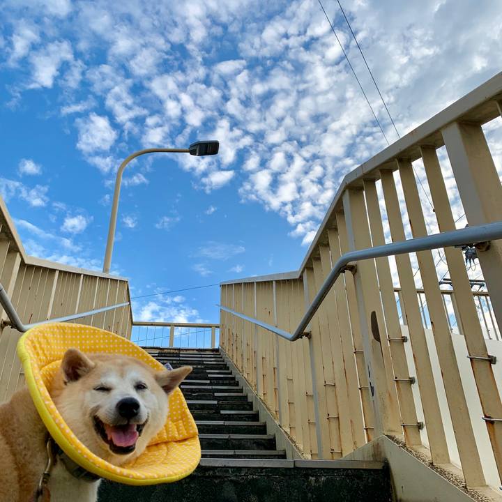 Be41c05f 2788 4bfb ad10 cfb5a57f8b83 1569844692911