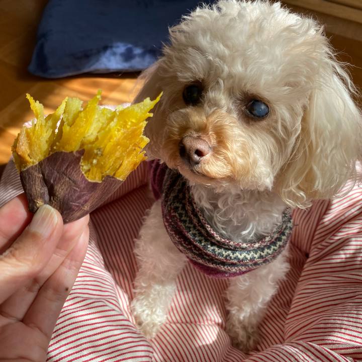 Be41fa7e 949d 455a b1b9 6d1527b322b1 1614743480257