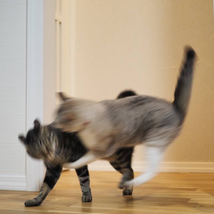 Be422f29 ea03 419c be32 0b30fb635378 1598873867149