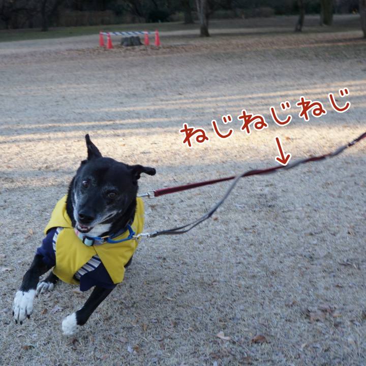 Be423437 3605 498e ac79 c9d83453df4b 1767487839440