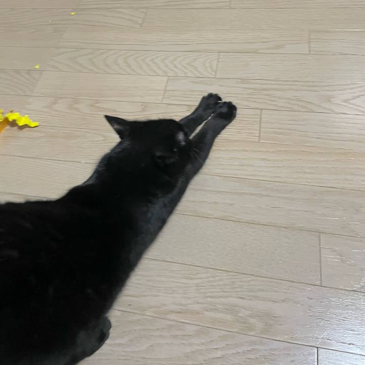 Be42486f 8938 4578 8ecd b43c1fc14ecc 1744891473082