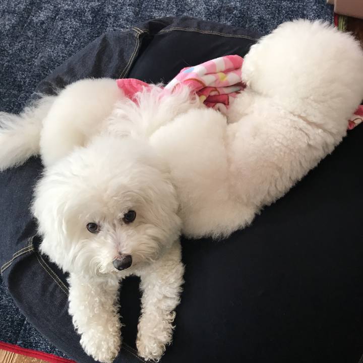 Be428757 8ea0 4857 ada8 5bc919e1264d 1550810014535