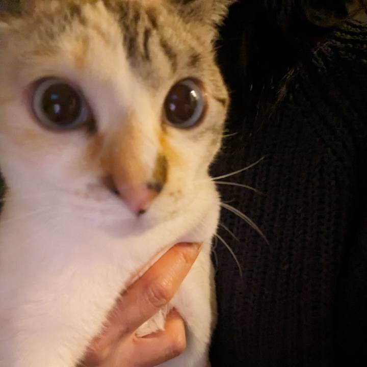 Be42c649 a6df 4d00 813b 12590dc58389 1709126221526