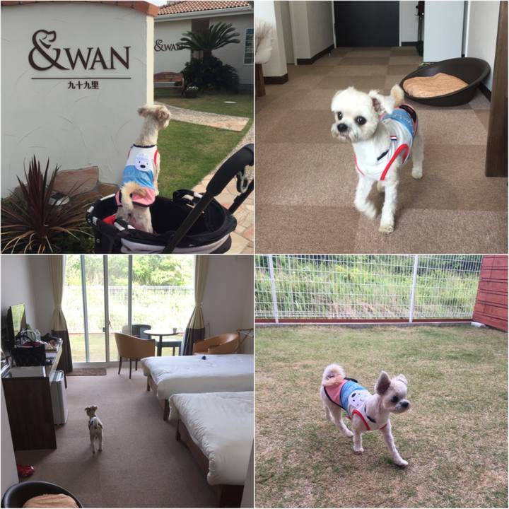 Be42fdd2 c88c 4f49 bcae 65ee7e69fc5f 1525175546294