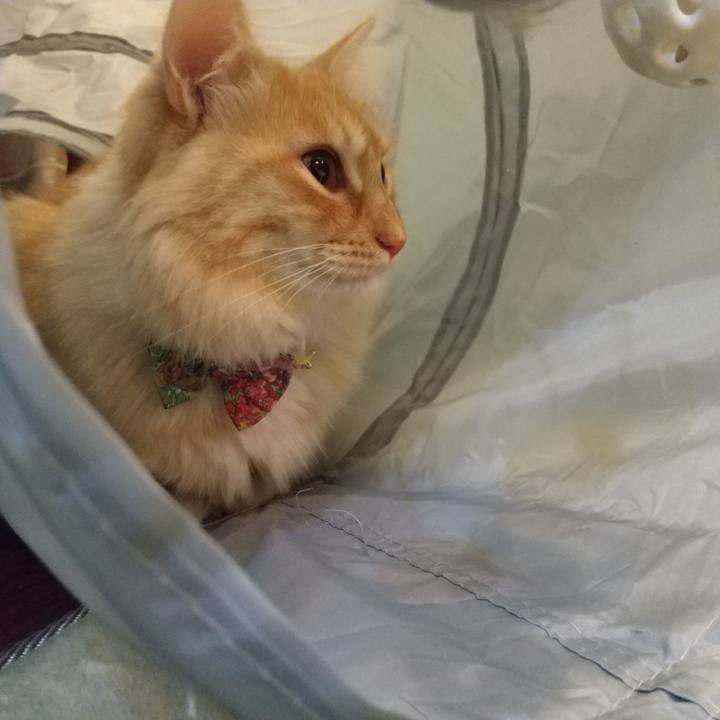 Be430c0d b5ca 4316 84ef 9622a6e60216 1642940470723