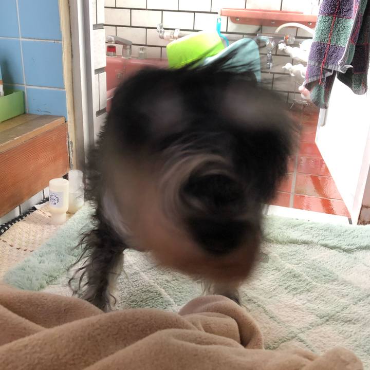 Be4316dc 2172 4590 8aae 8616c3868878 1645341118750