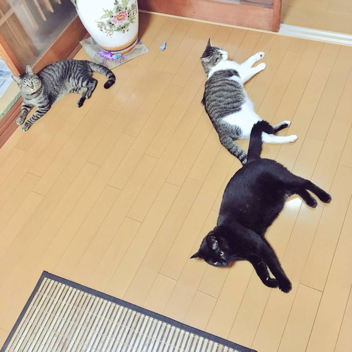 Be43c211 581b 4473 b44a 249665aae35c 1531183466251