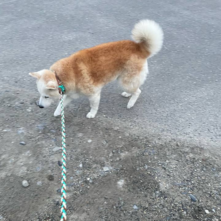 Be43f094 bf1a 4c91 ab05 1d7cb1f4883d 1675763455536