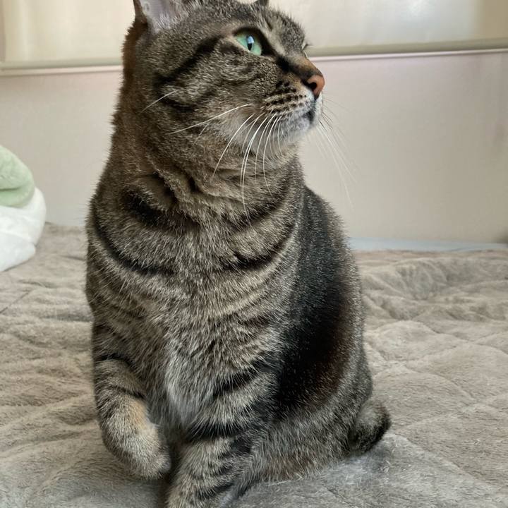 Be43fdb1 2e7f 4b0e a327 c1e5e61bd34f 1674107119916