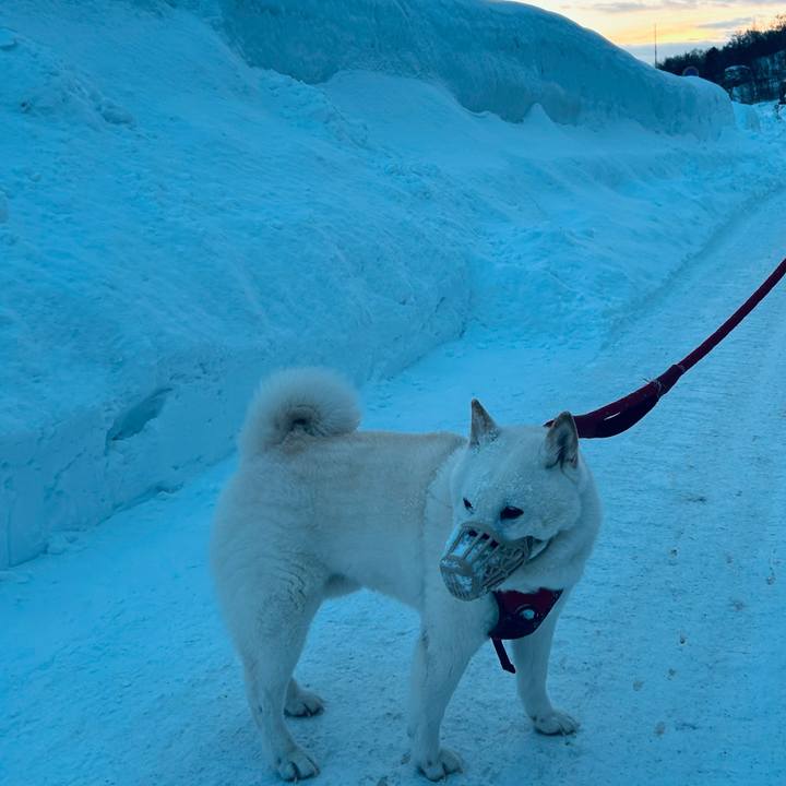 Be441b65 c62a 4c83 a8fb 55b6204bf0f5 1707517090768