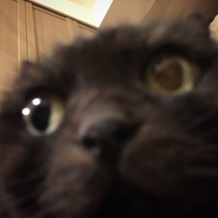 Be441cb0 8051 4df8 a2bf e9b246fc4fab 1542988857671