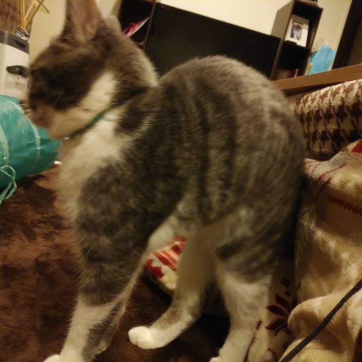 Be4438b0 bbc8 43b5 aa9f f7bae33b5b54 1578567547234