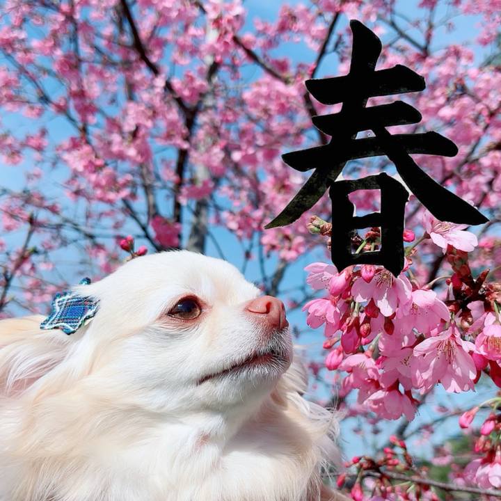 Be445831 af5a 4865 8857 c846b88e2f85 1711784643034