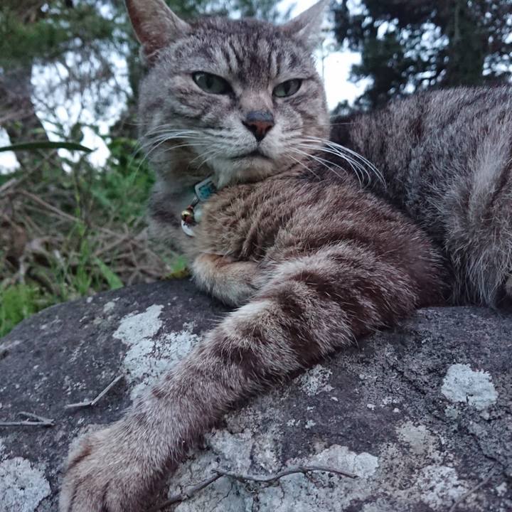 Be446b54 bd4a 4184 936b 3fe369664247 1558951789759