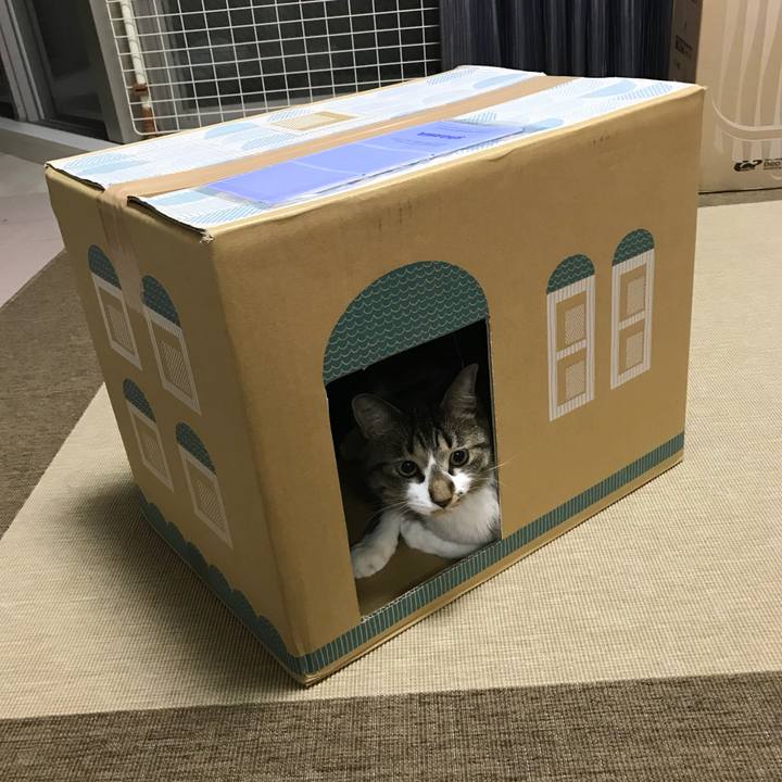 Be446cb8 a0b5 4da7 a266 d42bbbe86f95 1536758981788