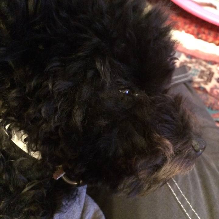 Be44a550 7aaa 4b8f b51f e9987e354c3a 1510989287588