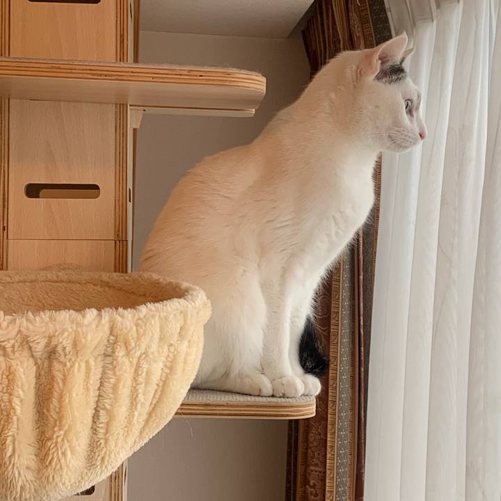 Be44a6a7 8840 482c b551 cc33d92c9350 1741134170688