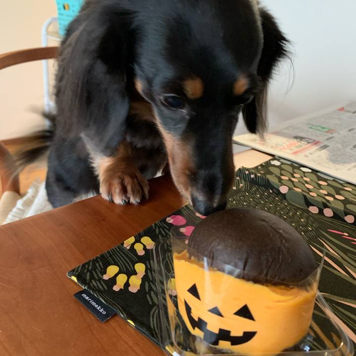 Be44aba0 2a37 4f49 b8cf 517be666e331 1635145070842