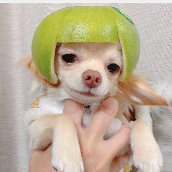 Be44da4e 06e9 4dfd b692 9c0a522be90e 1667964365703