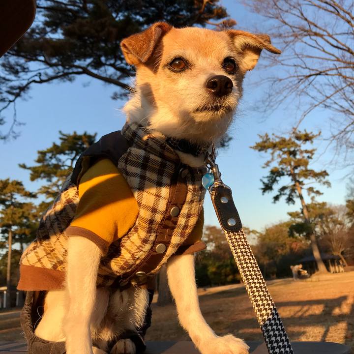 Be44dd63 f64b 4b5a 9499 6f37f6e1b547 1639555901373