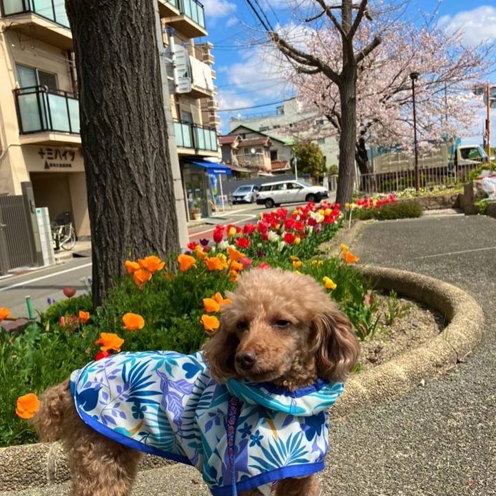 Be44e786 62fc 4ee1 b4dd 75e3a5e6b288 1667696350803