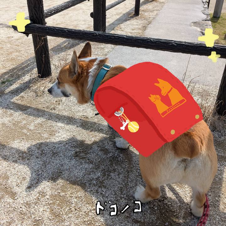 Be45087c 53dd 425a a14a 5377f35b57b6 1744341373652