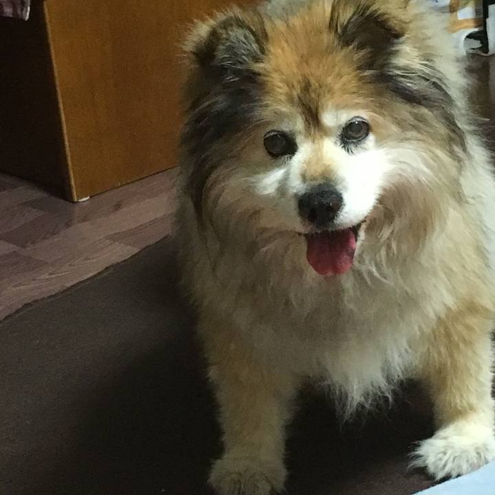 Be45100d 14ac 4133 8e75 9cdbc8a14e3e 1591526296571