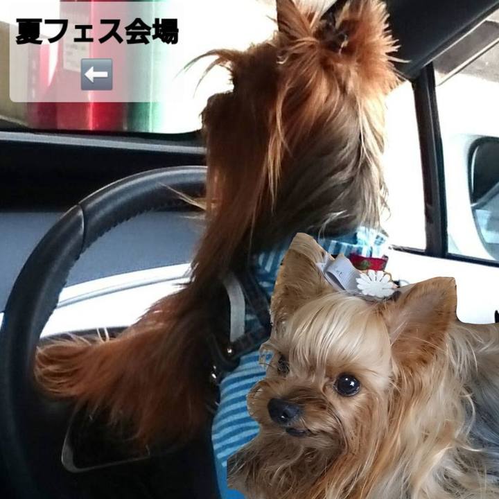 Be4510fe 0ebb 4592 8920 0aa6dea18b92 1755276370345